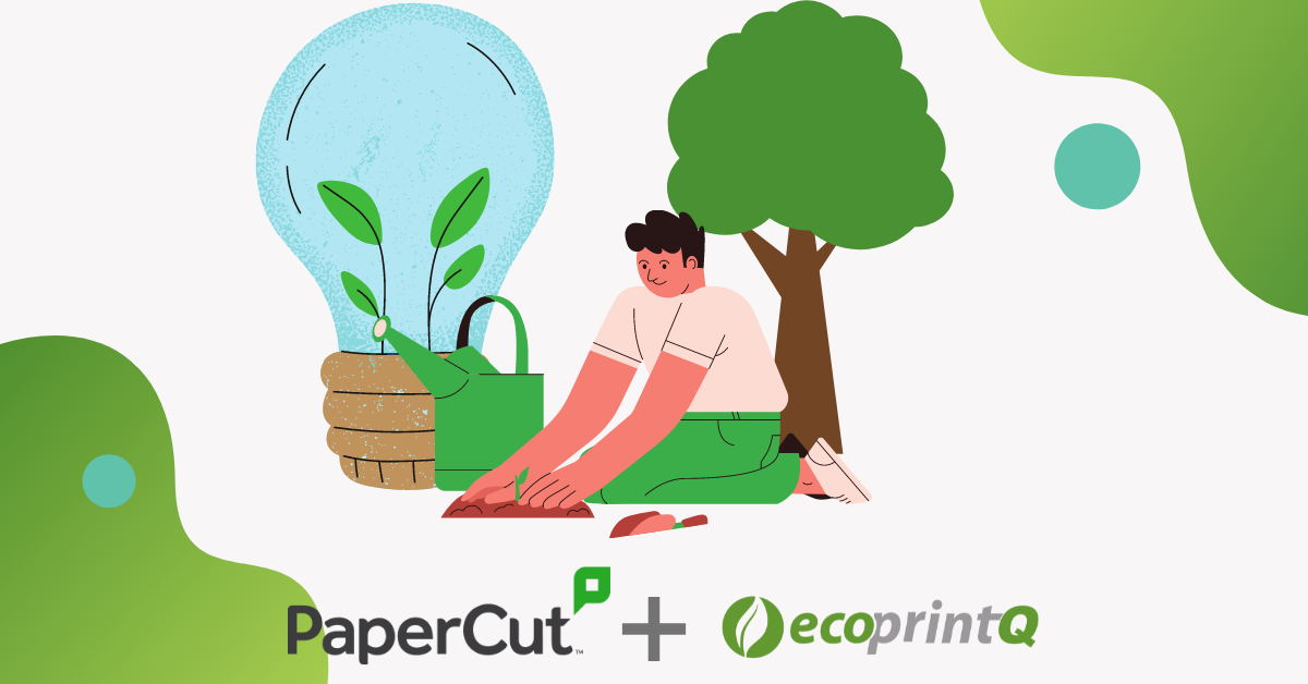 6 reasons why PaperCut loves trees!