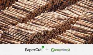 How to save 280,451 Trees with one PaperCut feature